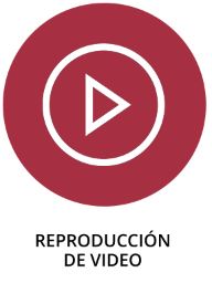 https://pioneer-latin.com/wp-content/uploads/2024/10/reproduccion-de-video.jpg