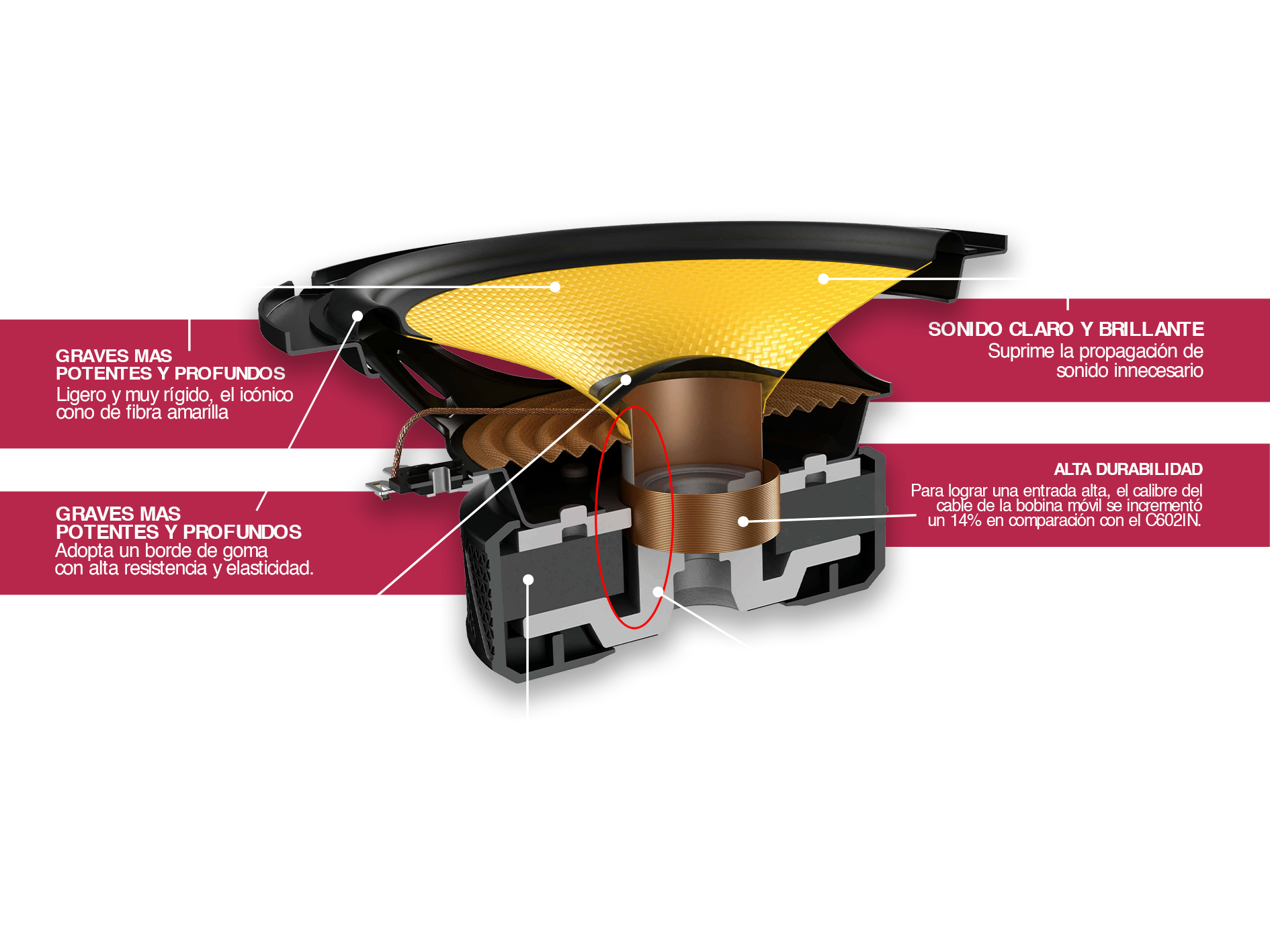 Estructura del woofer TS-D1740C